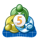 MT5